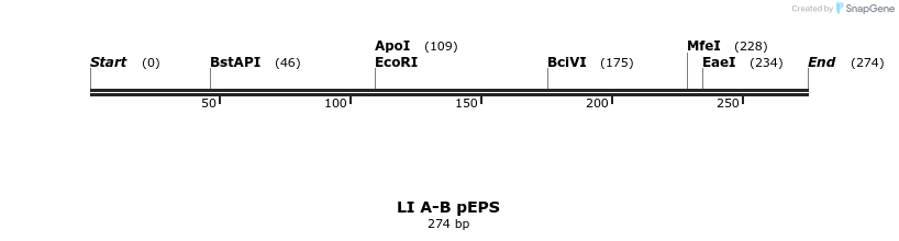 198149_map