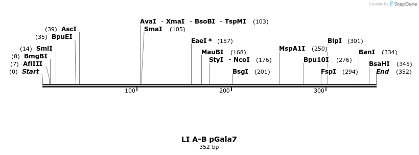198151_map