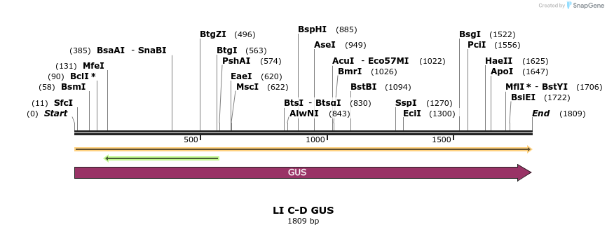 198153_map