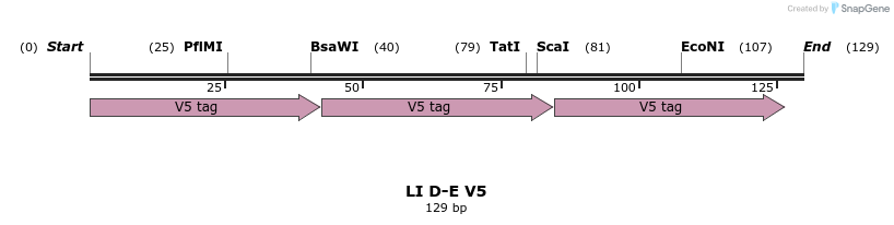 198157_map