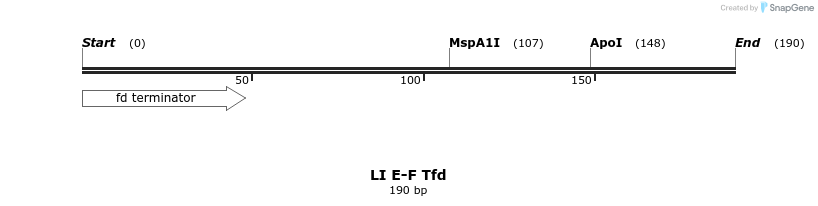 198159_map