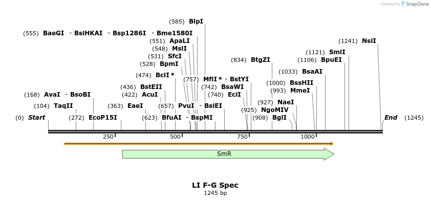 198161_map