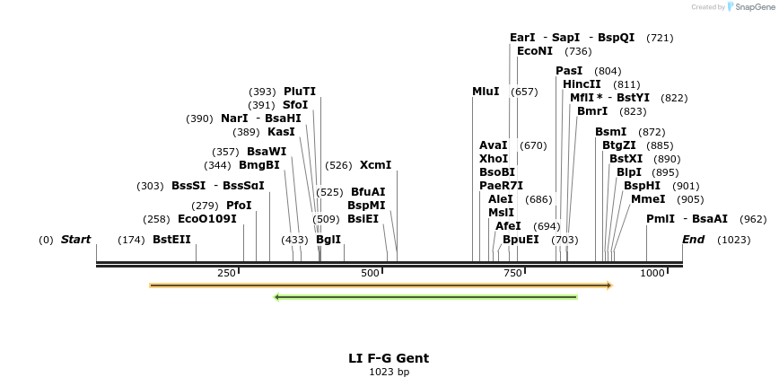 198163_map