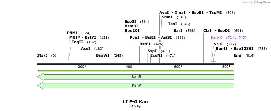 198165_map