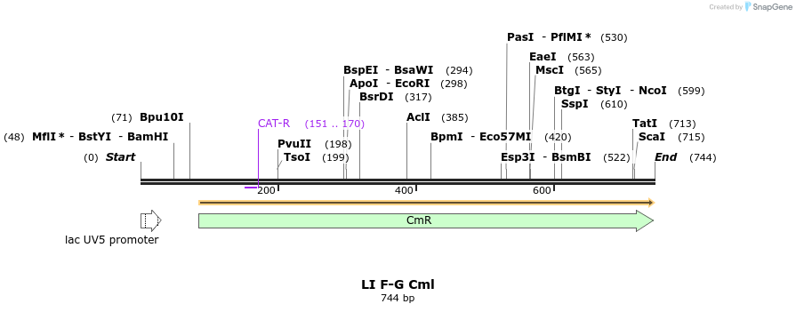 198169_map