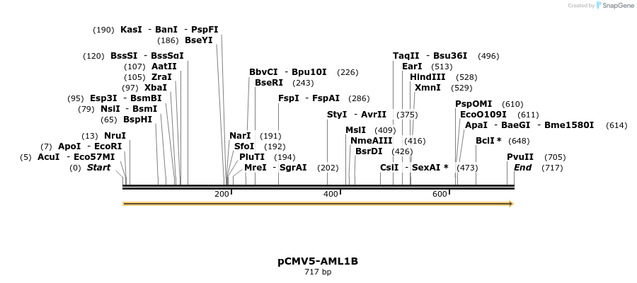 19826_map