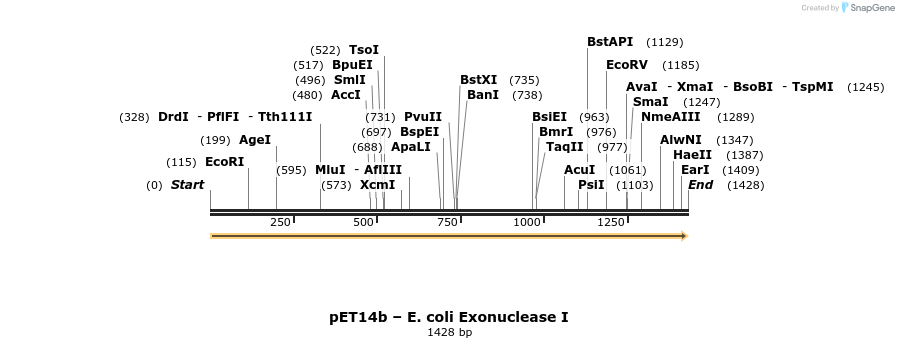 198264_map