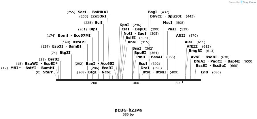 19835_map