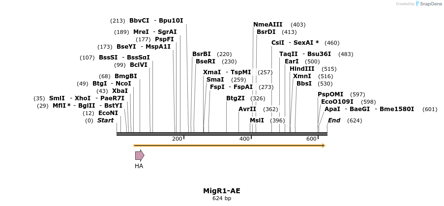19840_map