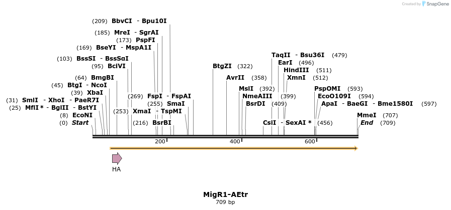 19842_map