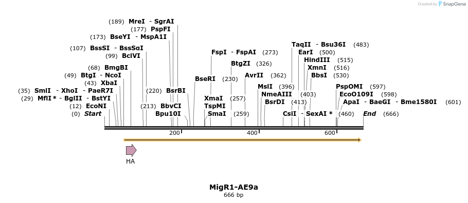 19843_map