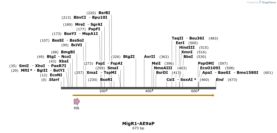 19844_map