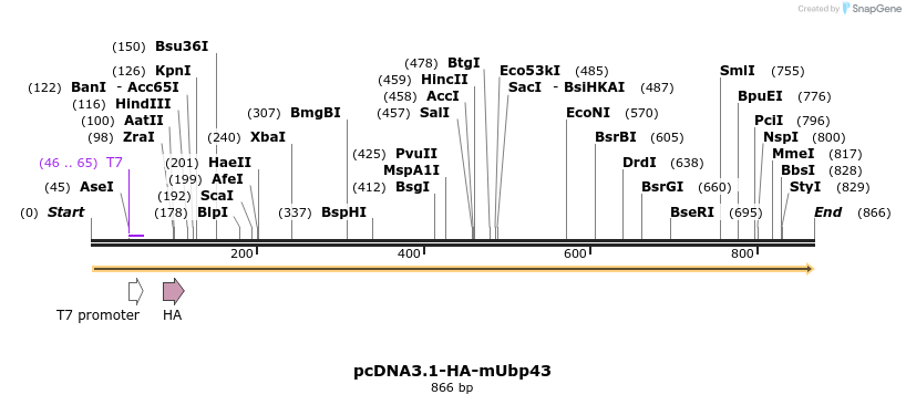 19846_map