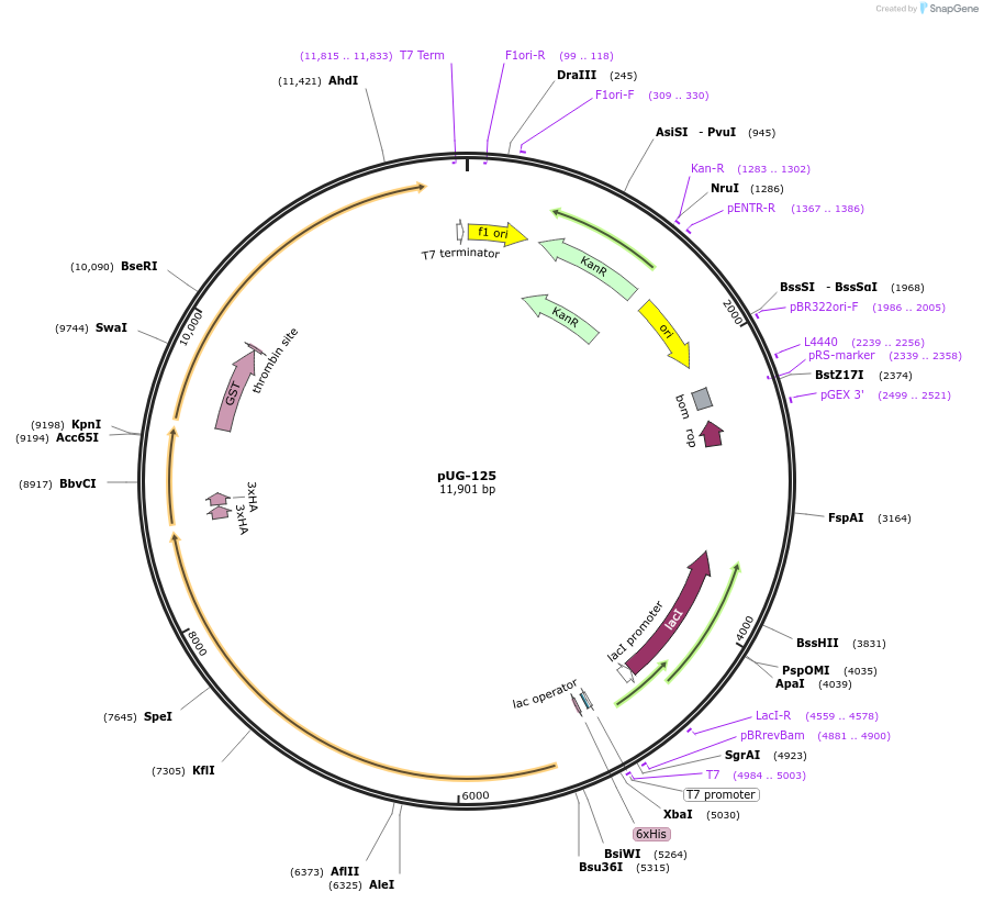 198467_map
