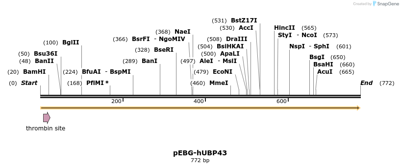 19848_map