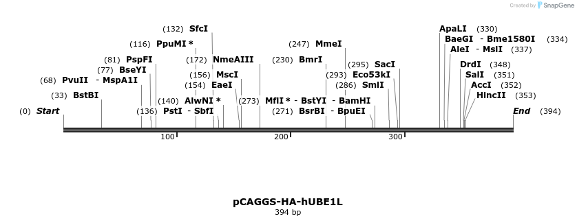 19849_map