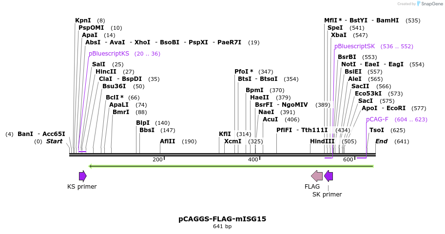 19853_map