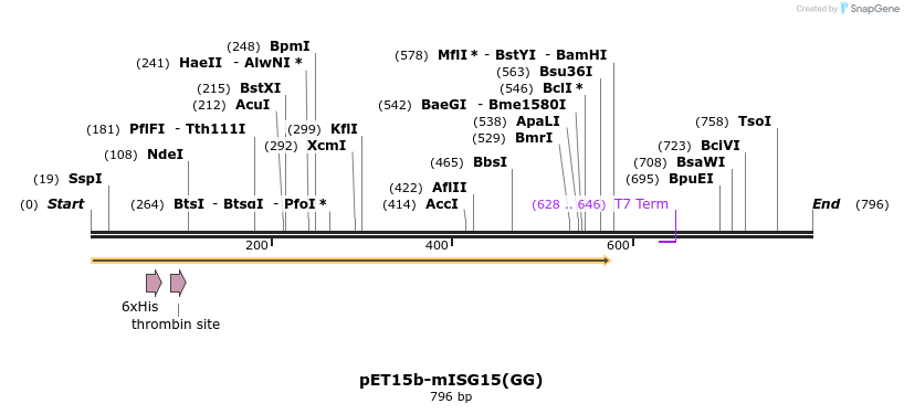 19858_map