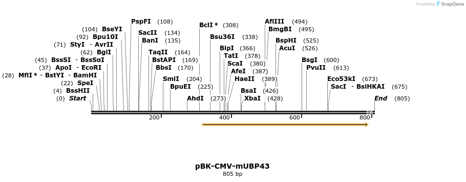 19864_map