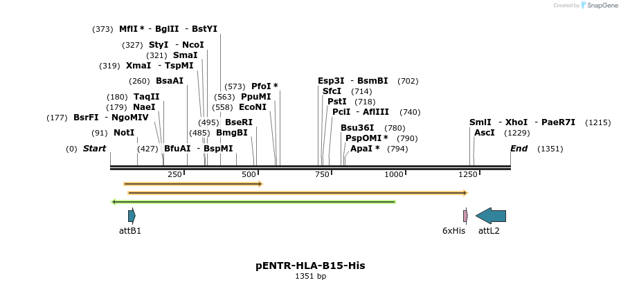 198675_map