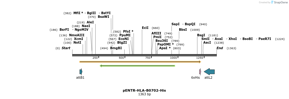 198688_map