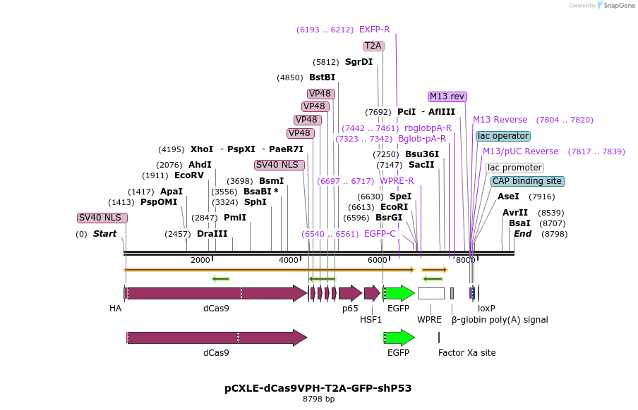 198700_map