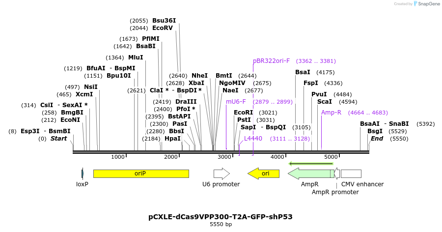 198701_map