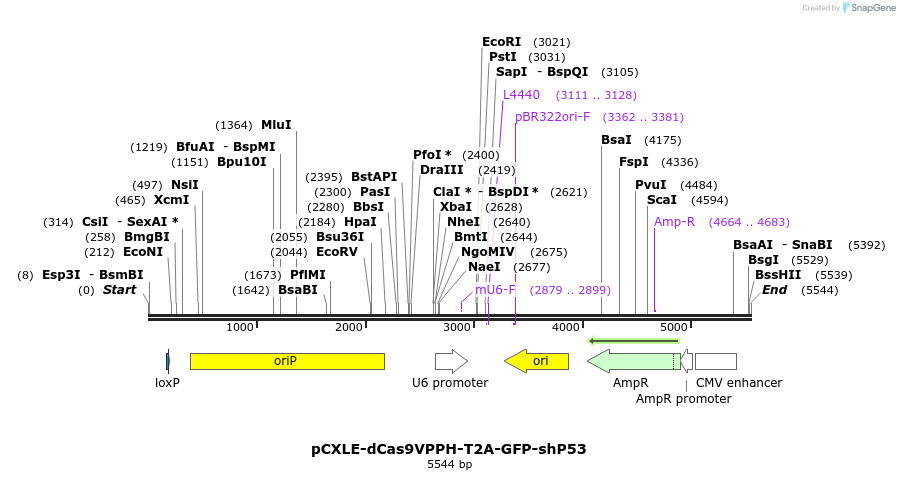 198703_map