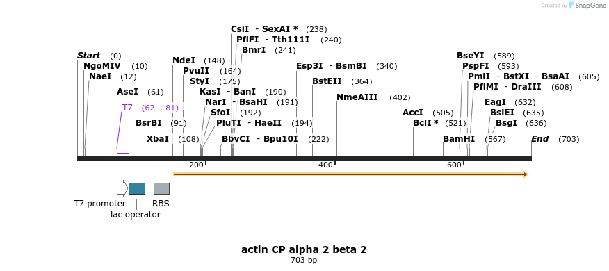 19875_map