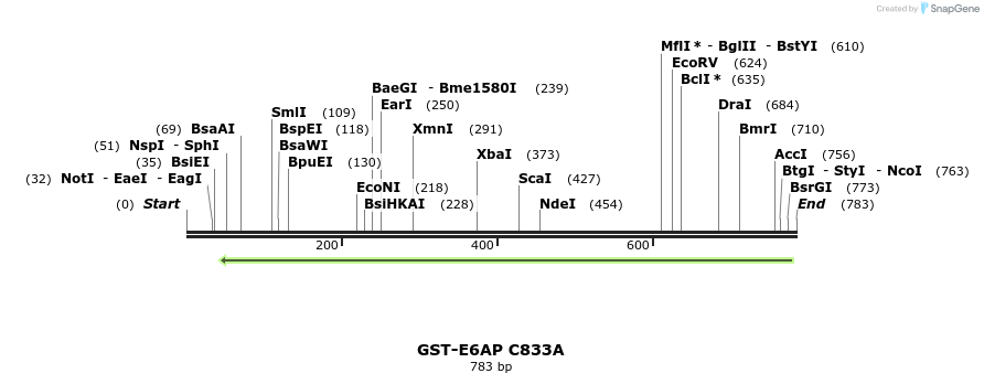 19885_map