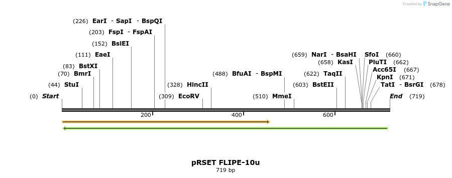 19897_map