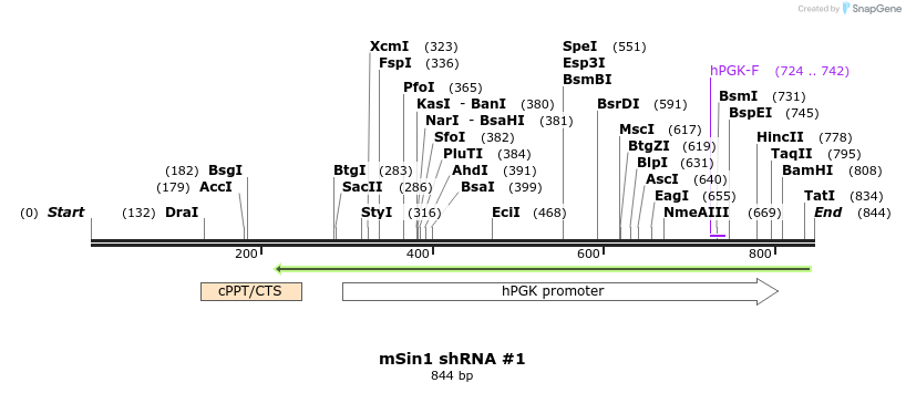 19899_map