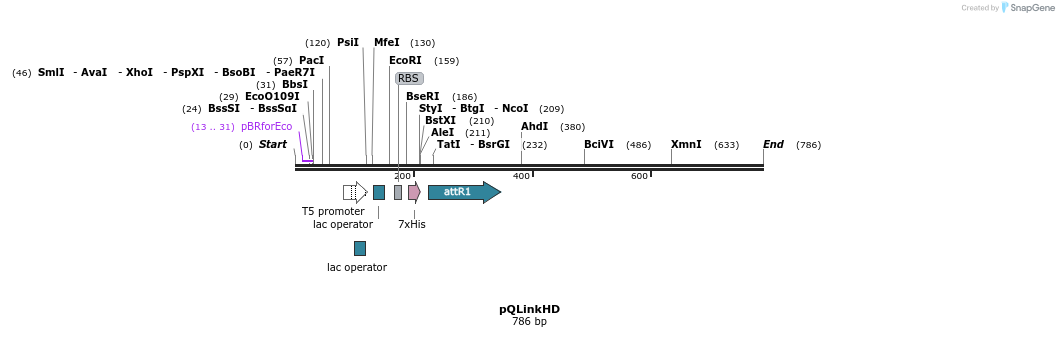 19913_map