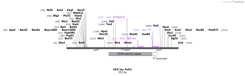 19921_map