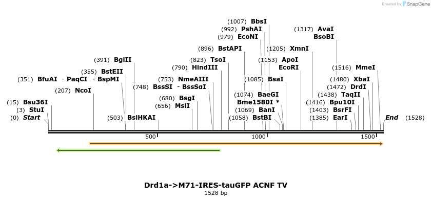 199344_map