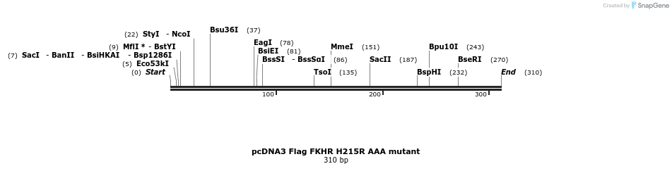 19938_map