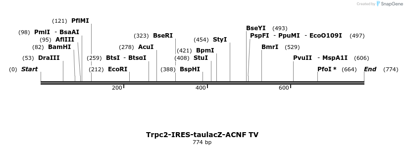 199380_map