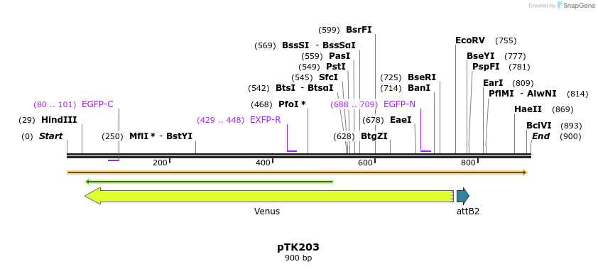 19942_map