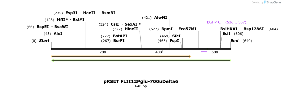 19944_map