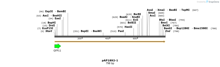 199452_map
