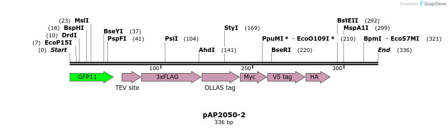 199456_map