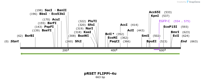 19946_map