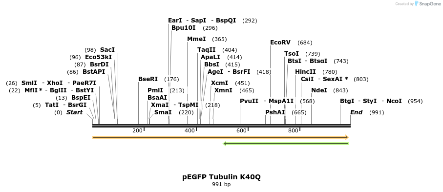 199499_map