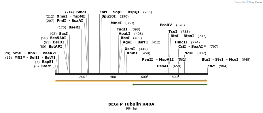 199501_map