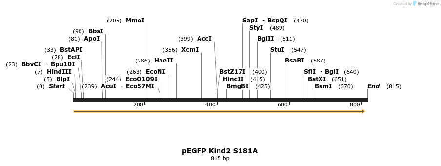 199505_map