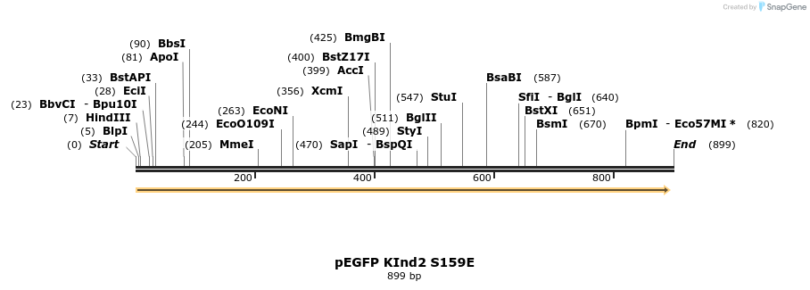 199511_map