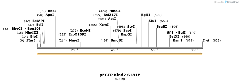 199512_map