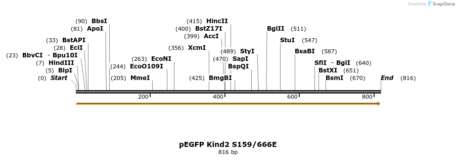 199513_map