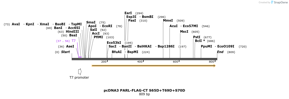 19954_map