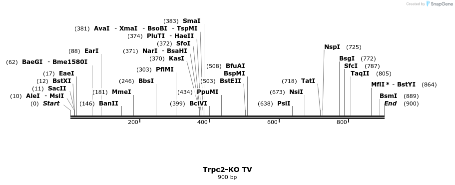 199596_map